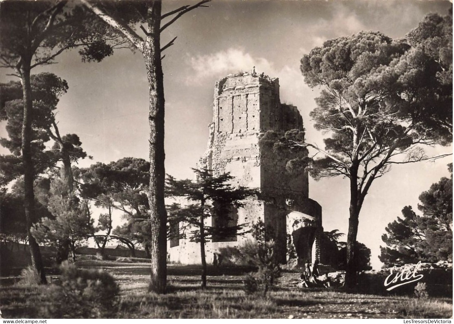 FRANCE - Nîmes - La Tour Magne - Carte Postale - Nîmes