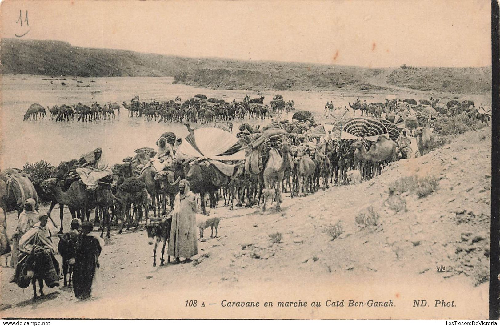 ALGERIE - Scènes Et Types - Caravane En Marche Au Caïd Ben Ganah - Carte Postale Ancienne - Scenes