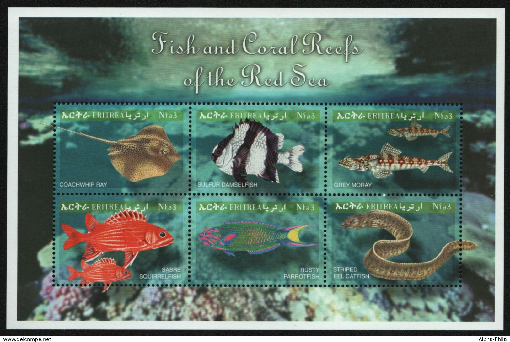 Eritrea 2000 - Mi-Nr. 218-223 ** - MNH - Fische / Fish - Erythrée