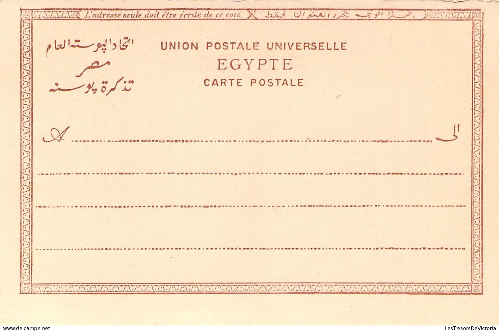 Egypte - Porteurs D'eau - Animé - Lichtenstern & Hasari - Carte Postale Ancienne - Le Caire