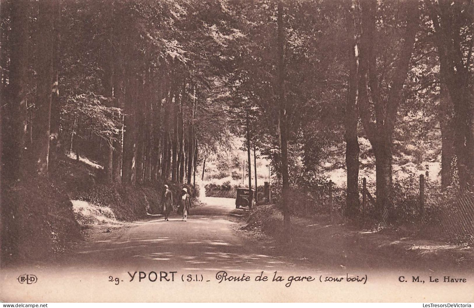 FRANCE - Yport - Route De La Gare (sous Bois)  - C.M - Carte Postale Ancienne - Yport