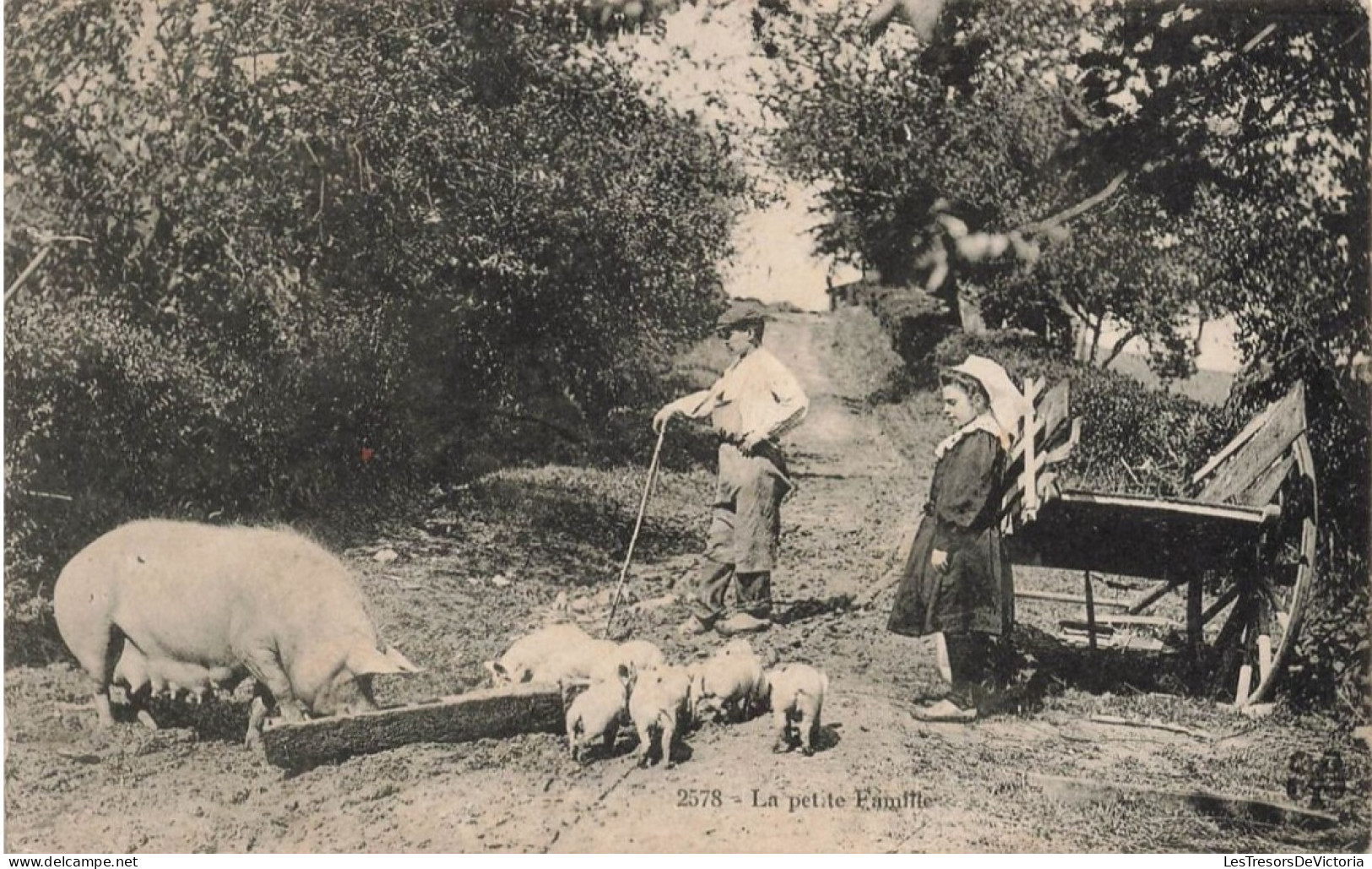 ENFANTS - Un Frère Et Une Sœur Regardant La Famille De Cochon - Carte Postale Ancienne - Groupes D'enfants & Familles