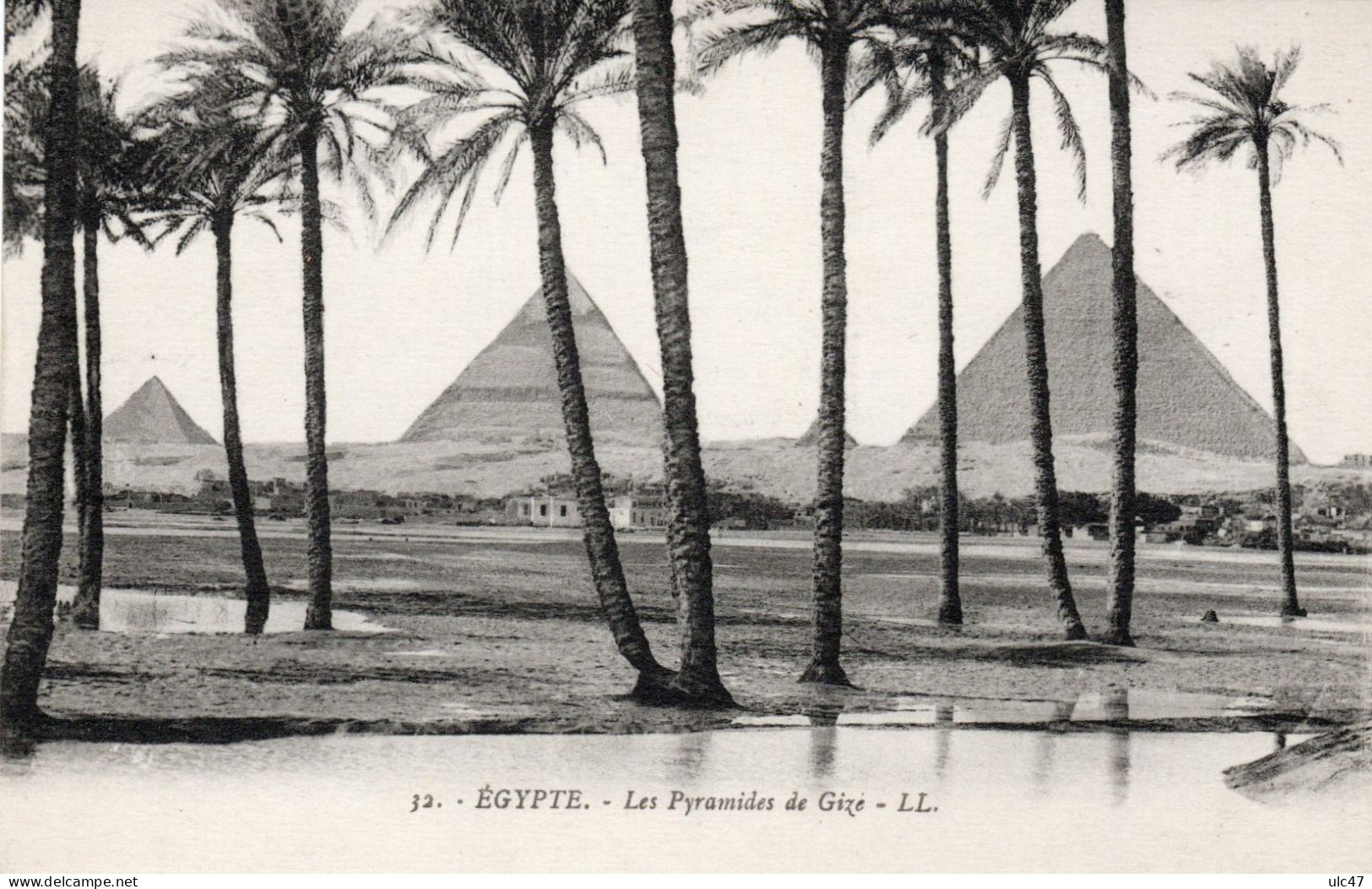 - EGYPTE. - Les Pyramides De Gizé. - Scan Verso - - Pyramids