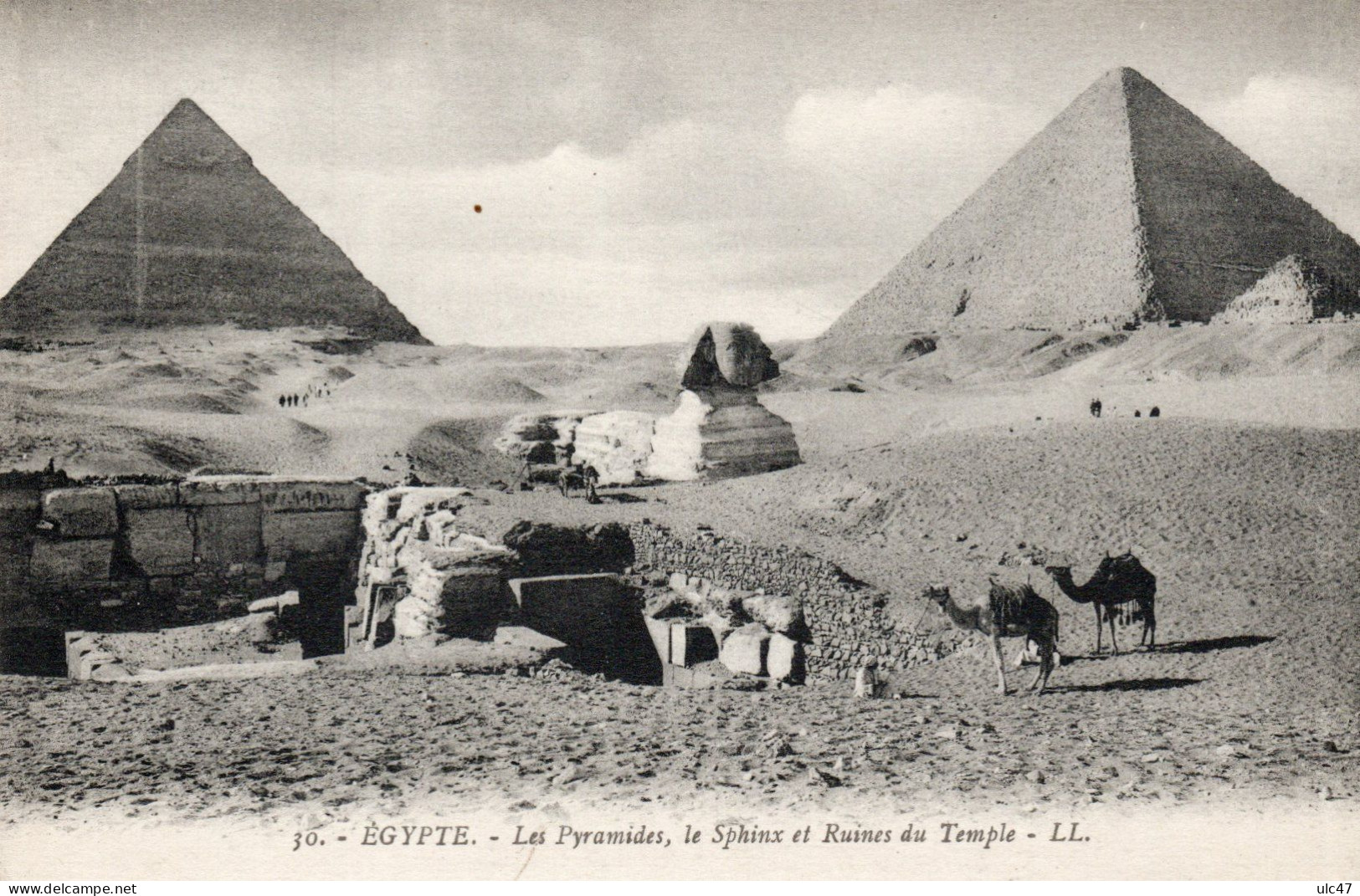 - EGYPTE. - Les Pyramides, Le Sphinx Et Ruines Du Temple  - Scan Verso - - Pirámides