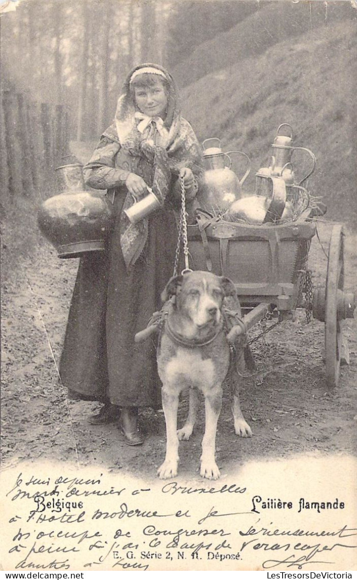 Laitière Flamande - Attelage De Chien - Animé - Belgique - E.G. - Obliutéré 1903 - Carte Postale Ancienne - Artigianato