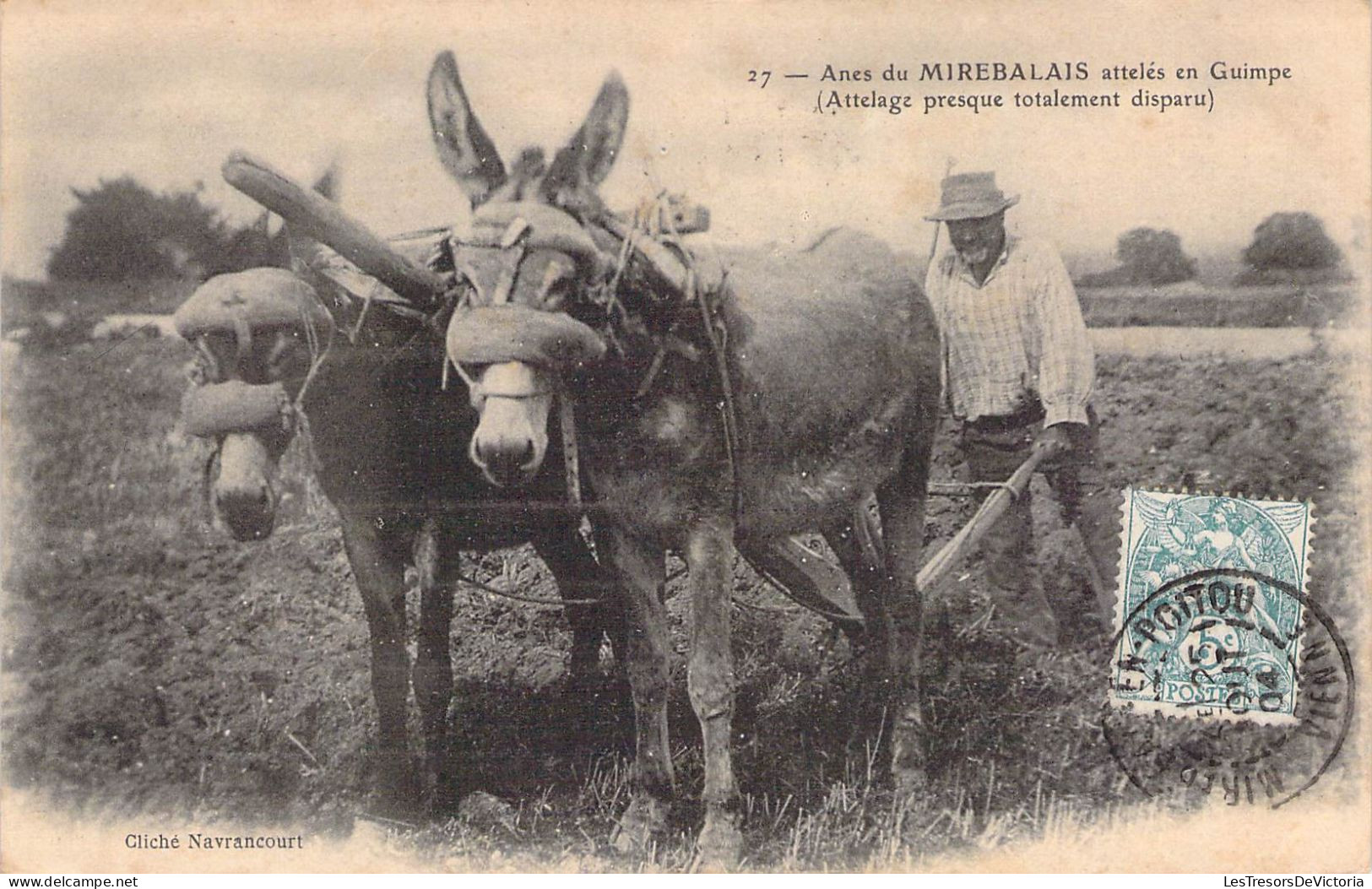 France - Mirebeau - Anes Du Mirebalais Attelés En Guimpe - Cliché Navrancourt - Animé  - Carte Postale Ancienne - Mirebeau