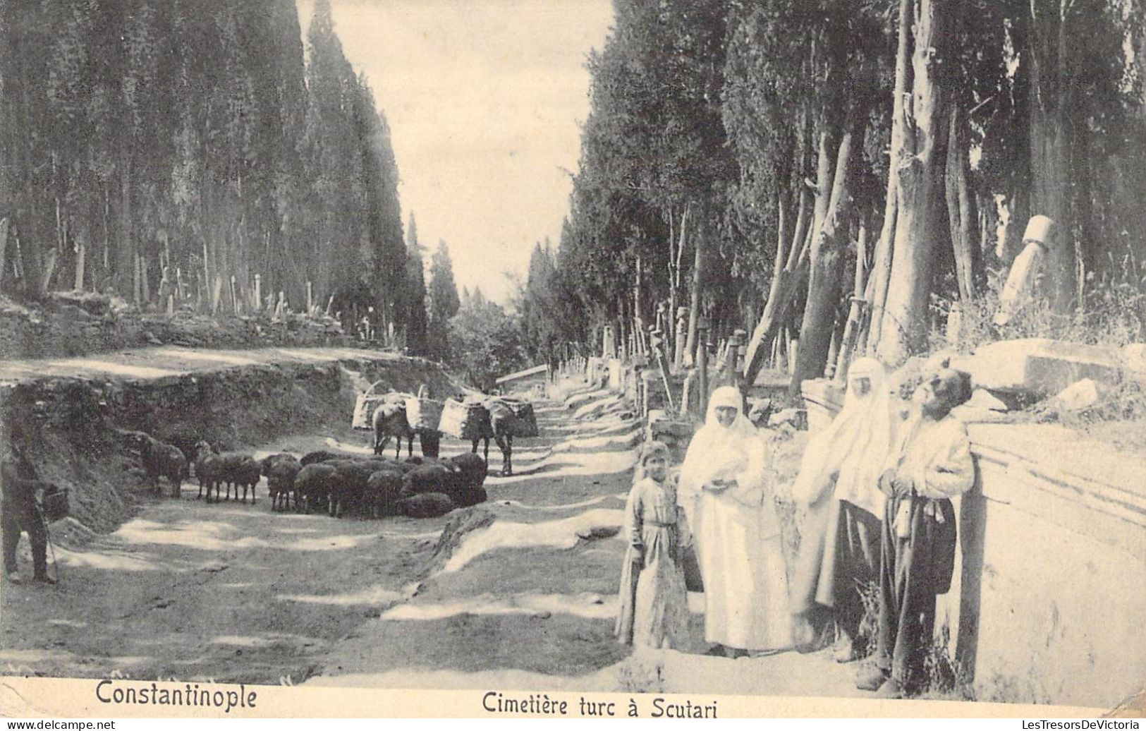 Turquie - Constantinople Cimetière Turc à Cutari - Animé - Moutons  - Oblitéré 1910 - Carte Postale Ancienne - Turquie