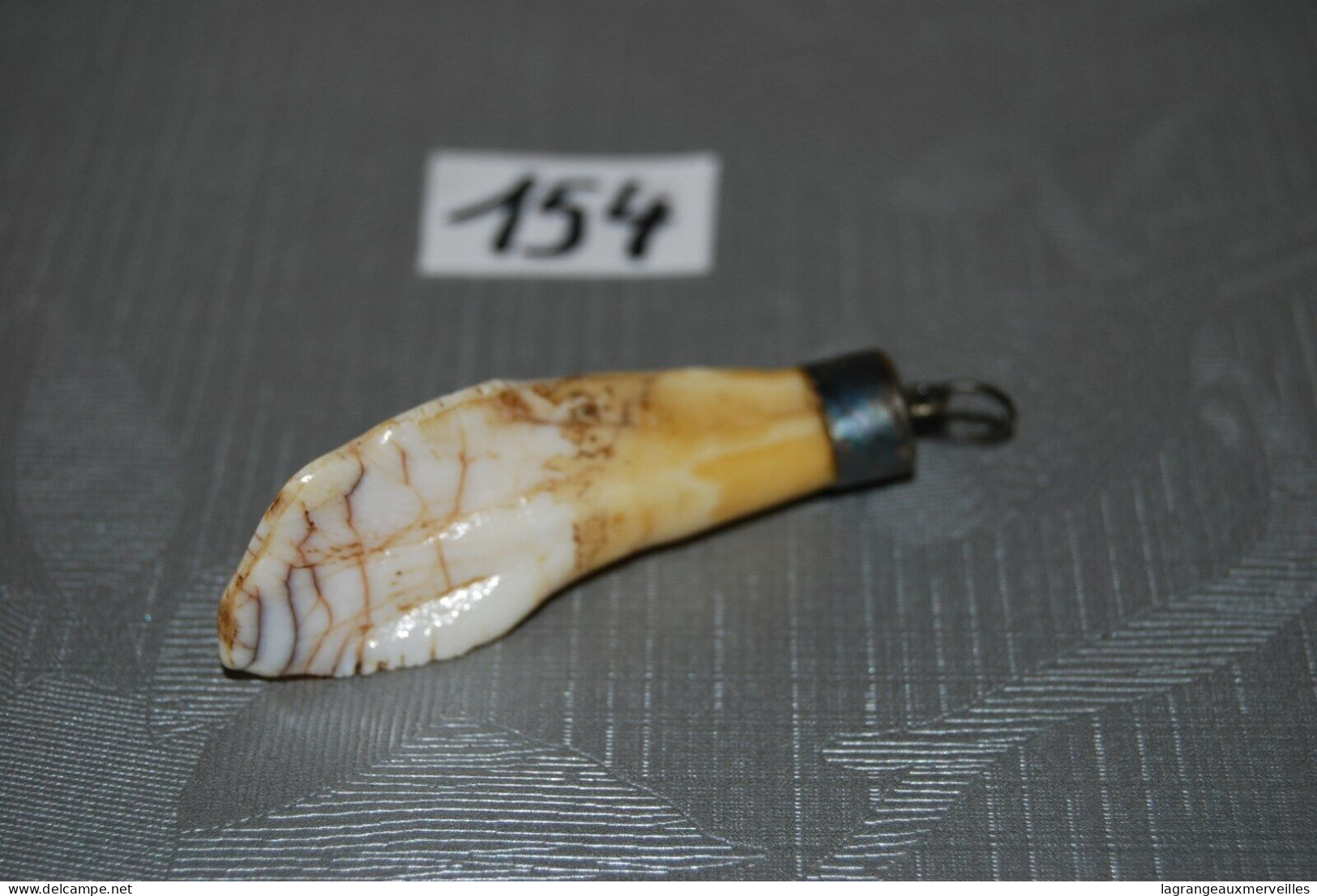 C154 Bijou - Pendentif - Dents De Requin Ou Autre - Altri & Non Classificati