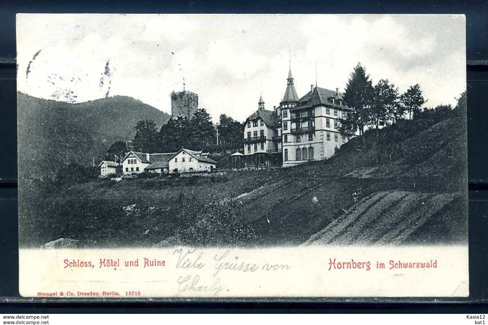 K10258)Ansichtskarte: Hornberg, Schlosshotel - Hornberg