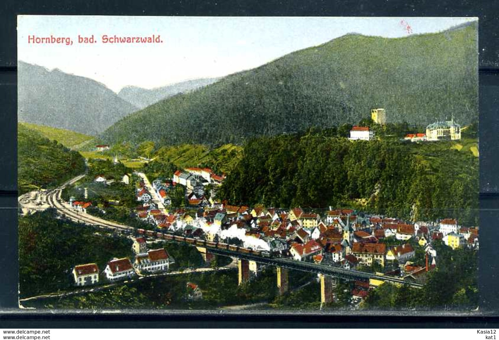 K10259)Ansichtskarte: Hornberg, Totale - Hornberg