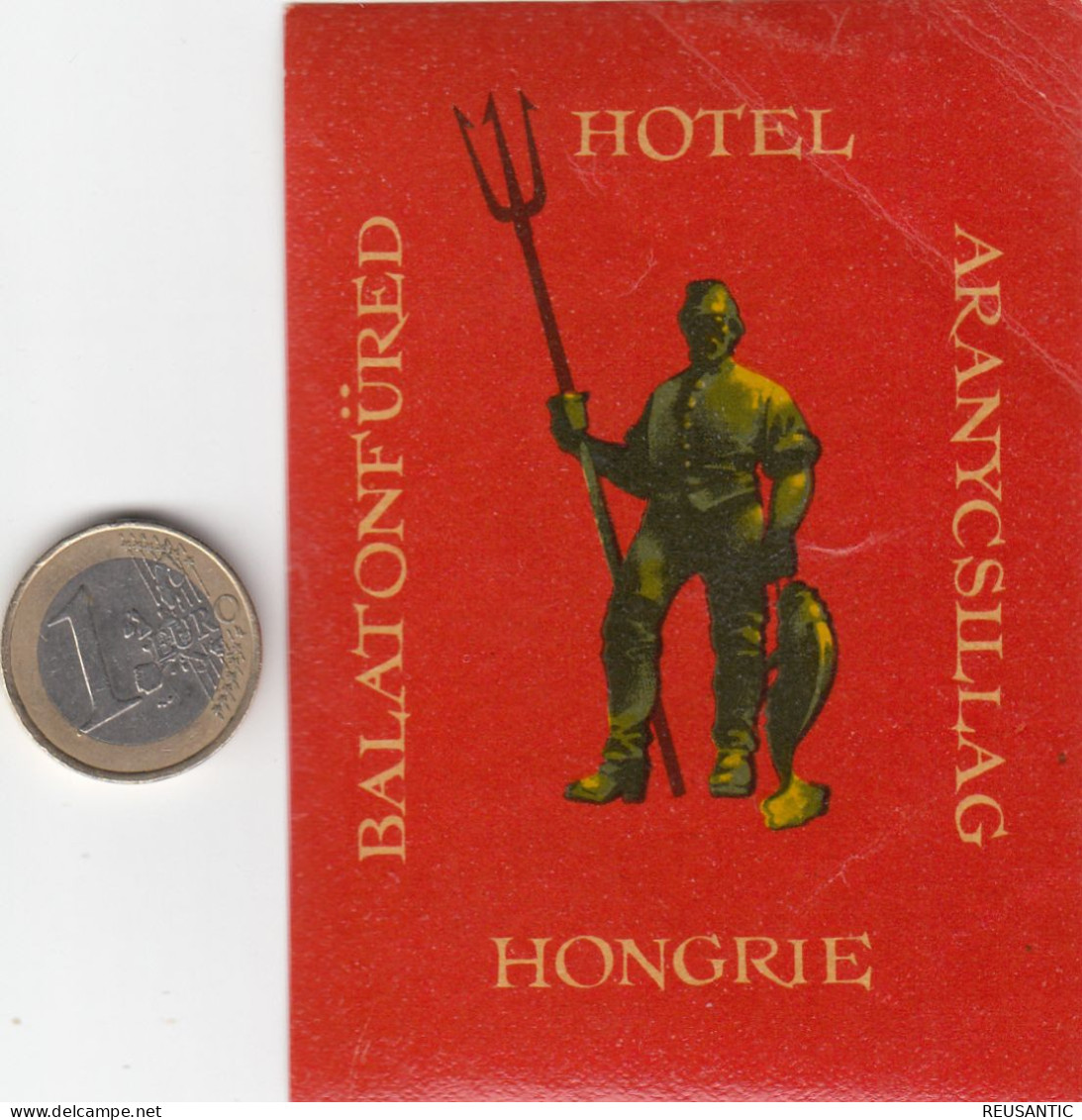 ETIQUETA - STICKER - LUGGAGE LABEL   HOTEL BALATONFURED ARANYCSILLAC - BUDAPEST -  HONGRIE - HUNGARY - Etiquetas De Hotel