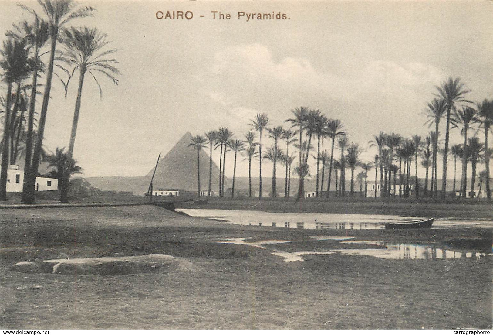 Postcard Egypt Cairo The Pyramids Of Guizeh - Piramidi