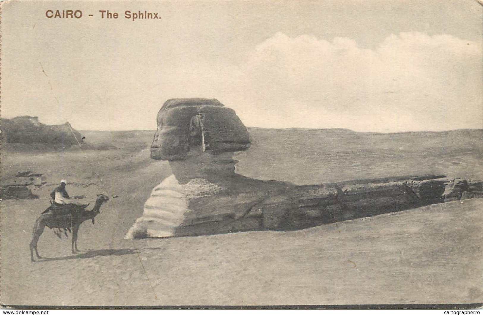 Postcard Egypt Cairo The Sphinx And Camel - Sfinge