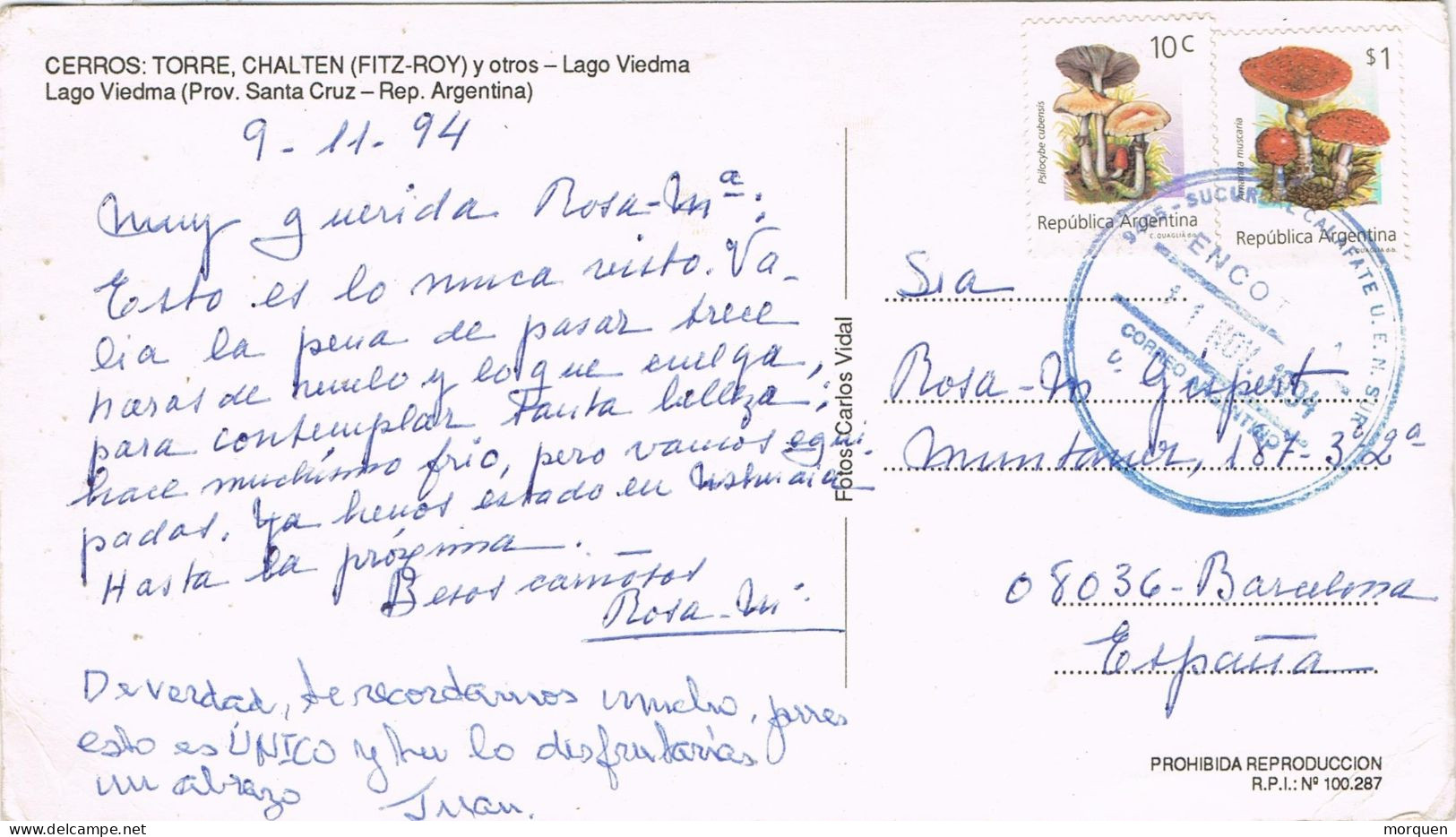 52957. Postal Panoramica Aerea CALAFATE (argentina) Patagonia 1994. Vistas Lago VIEDMA - Covers & Documents