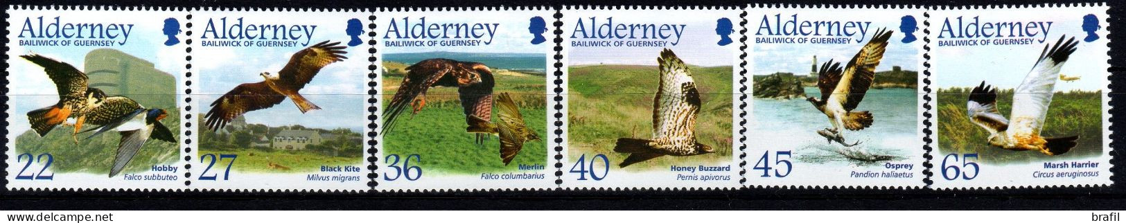 2002 Alderney. Uccelli Migratori, Serie Completa Nuova (**) - Alderney