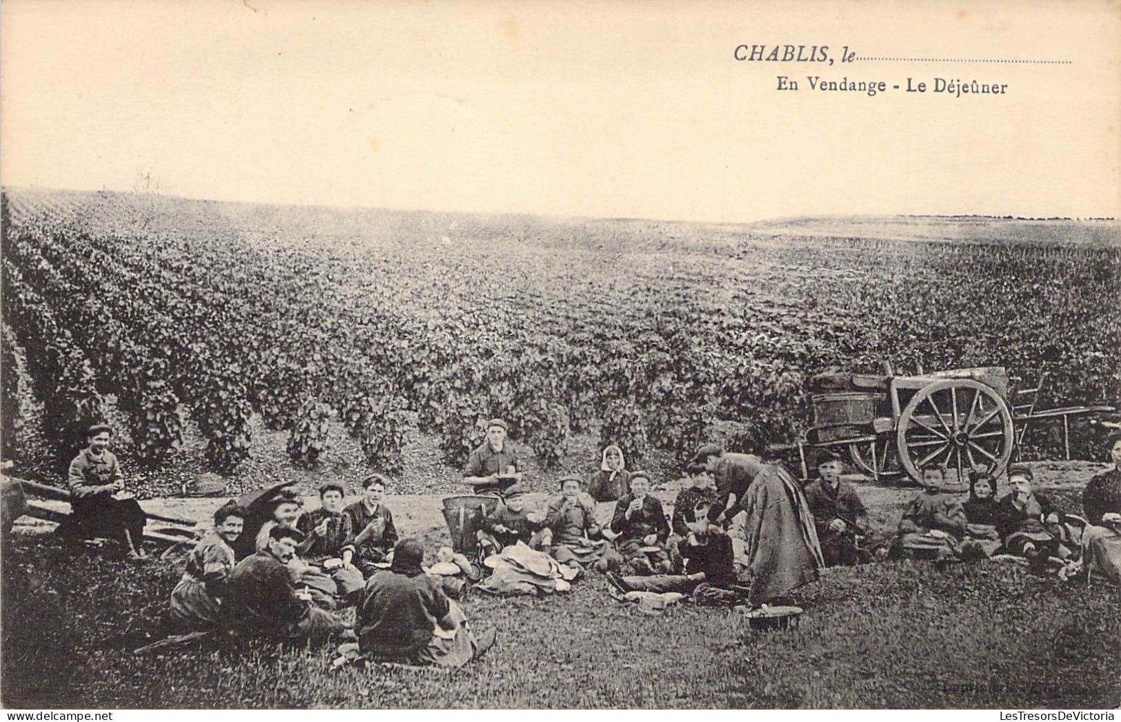 France - Chablis - En Vendage Le Déjeuner - Animé - Charette  - Cachet Rgmt Terr. D'infanterie-  Carte Postale Ancienne - Chablis