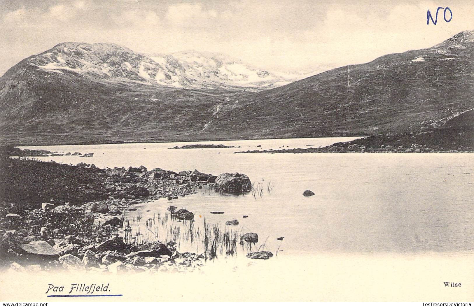 Norvège - Paa Fillefield - Mer - Montagne -  Carte Postale Ancienne - Norvège