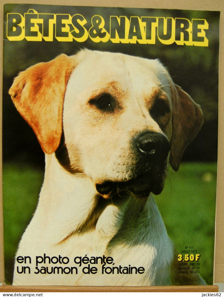 111/ LA VIE DES BETES / BETES ET NATURE N° 111 Du 7/1973, Poster Inclu, Voir Sommaire - Animals