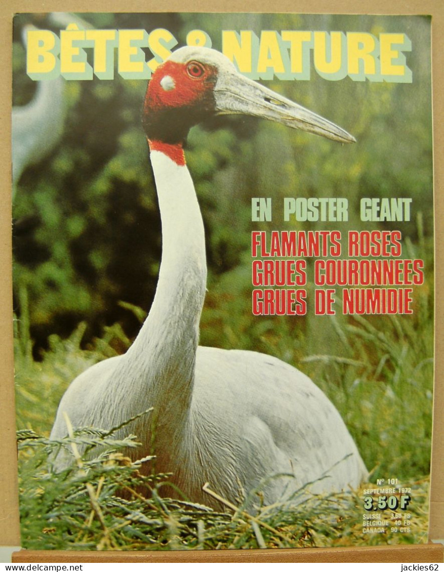 101/ LA VIE DES BETES / BETES ET NATURE N° 101 Du 9/1972, Poster Inclu, Voir Sommaire - Animales