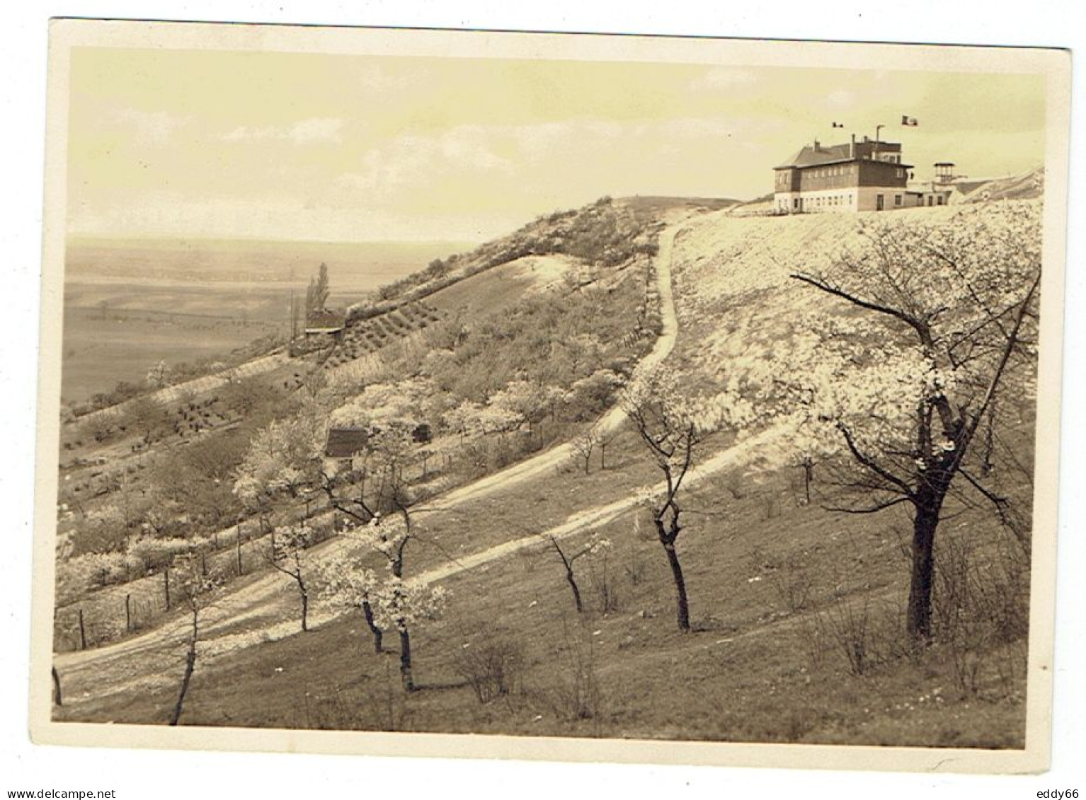 Ansichtskarte Laucha-Dorndorf  - Gaststätte Am Flughafen Aus Dem Jahr  1936 - Freyburg A. D. Unstrut