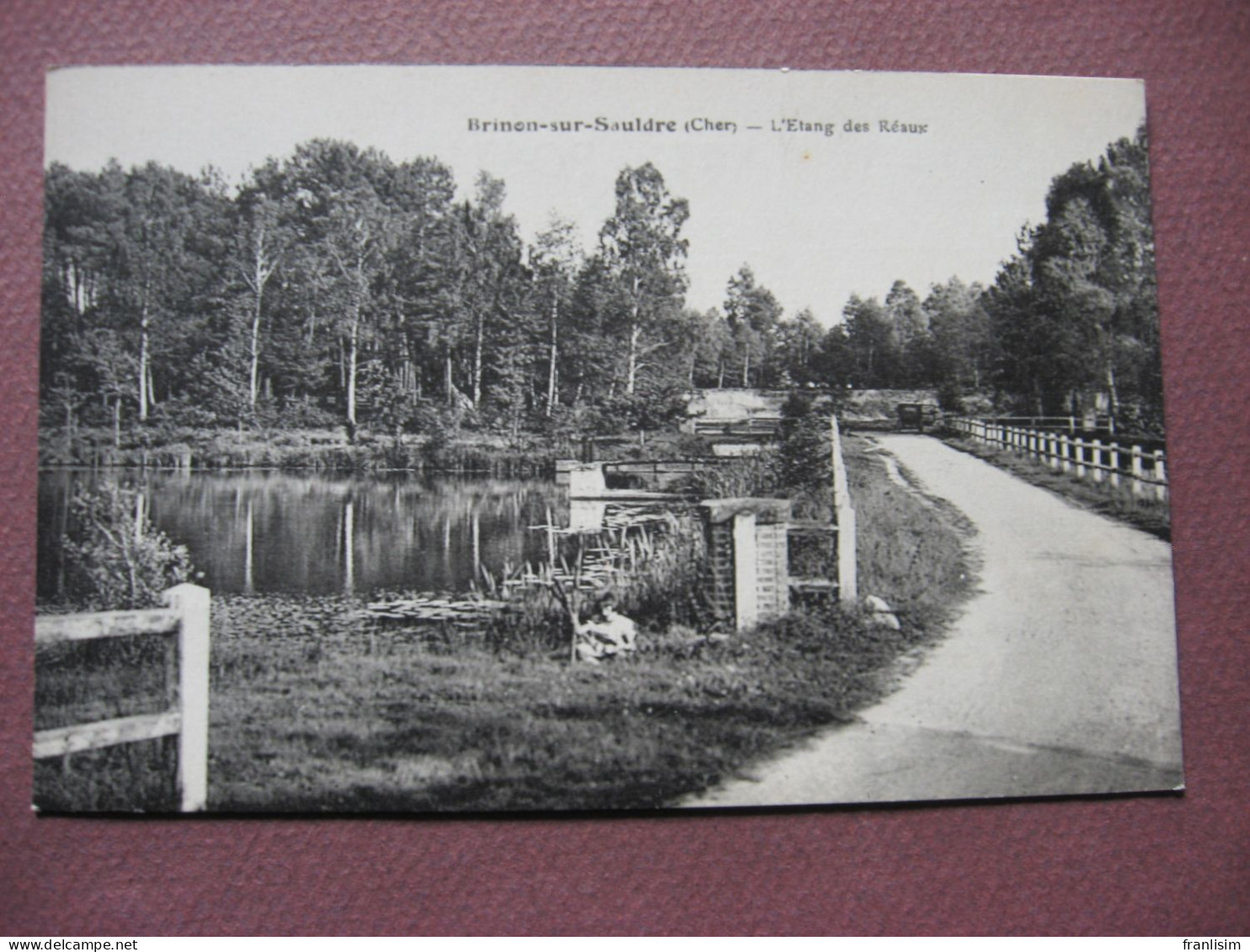 CPA 18 BRINON SUR SAULDRE Etang Des Réaux - Brinon-sur-Sauldre