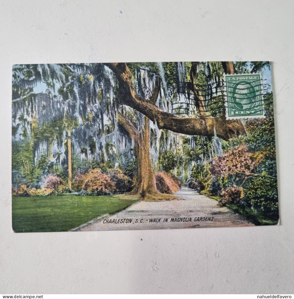 Carta Postale Circulèe - USA - 1915 - CHARLESTON, S.C. - Walk In Magnolia Gardens - Charleston