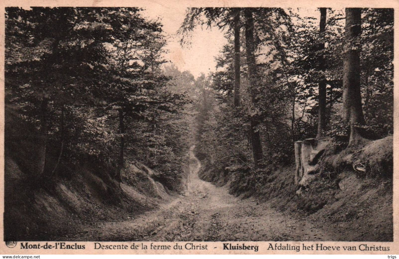 Kluisberg - Afdaling Hoeve Van Christus - Kluisbergen