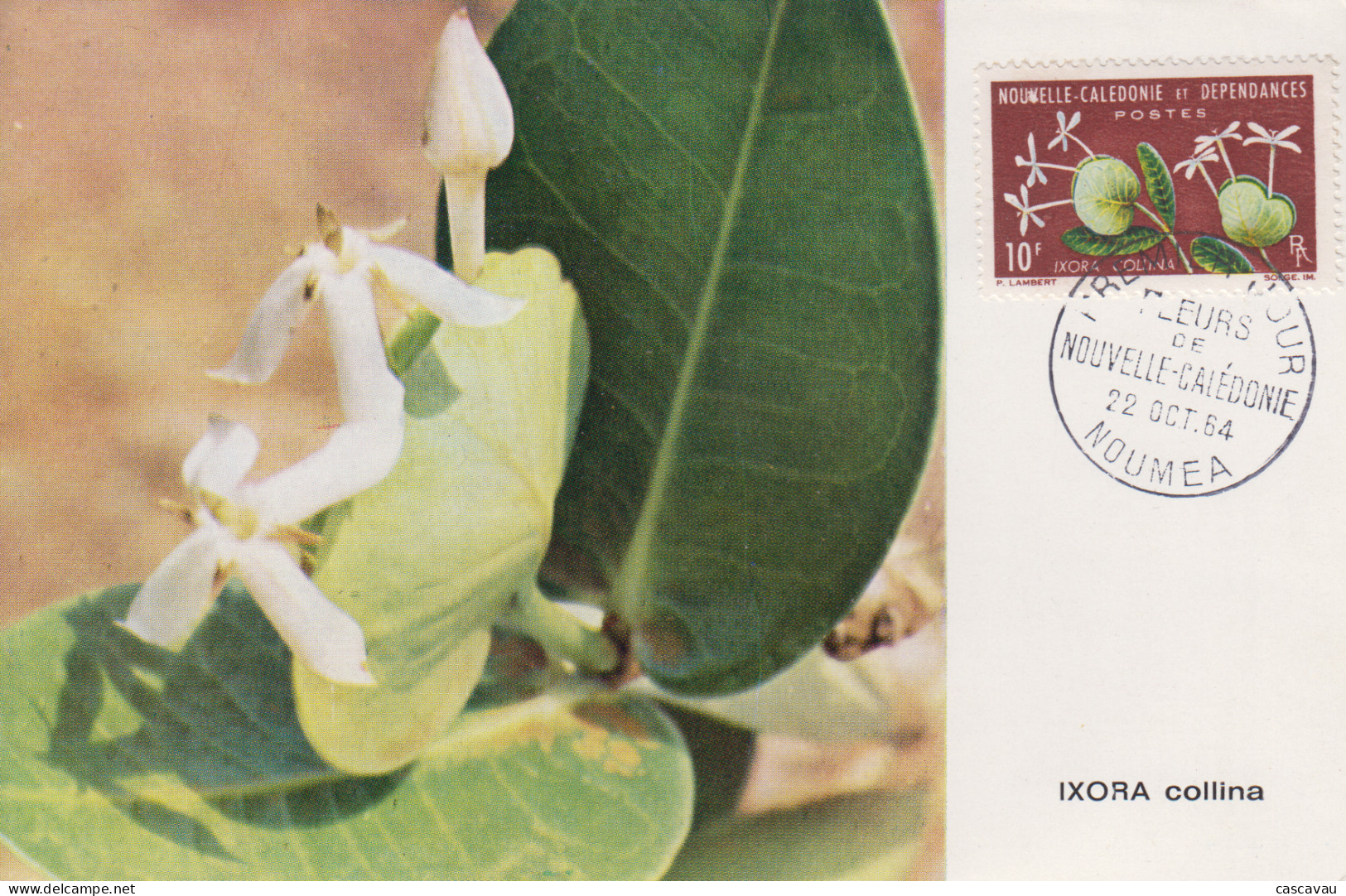 Carte  Maximum  1er  Jour   NOUVELLE CALEDONIE   Fleurs   1964 - Tarjetas – Máxima