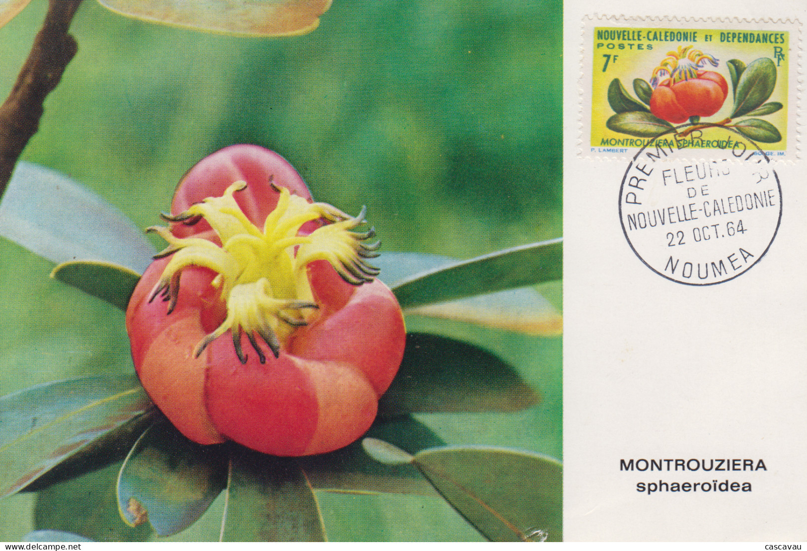 Carte  Maximum  1er  Jour   NOUVELLE CALEDONIE   Fleurs   1964 - Tarjetas – Máxima