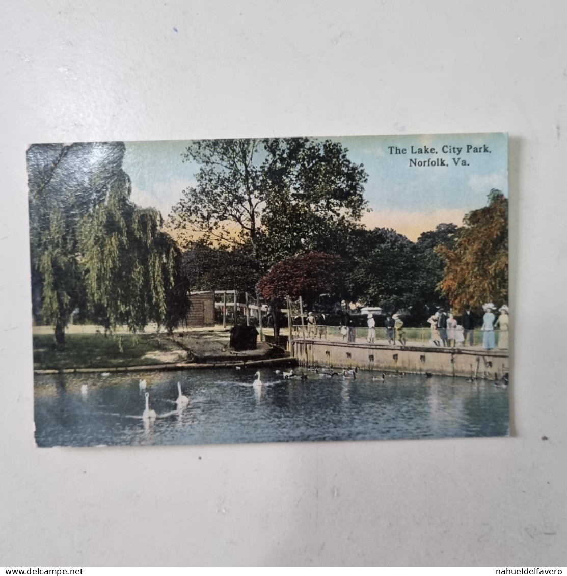 Carta Postale Non Circulèe - USA - NORFOLK, V.A.. - The Lake, City Park - Norfolk