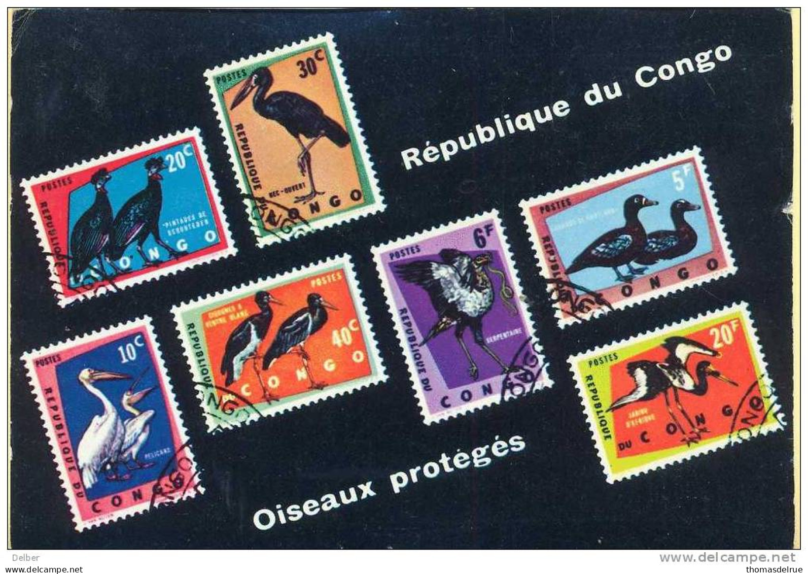 _A999: N°3 Sélection De Timbres Poste....République Du Congo  Oiseaux Protégés : 1F=1F+7F: KIPUSHI - Andere & Zonder Classificatie