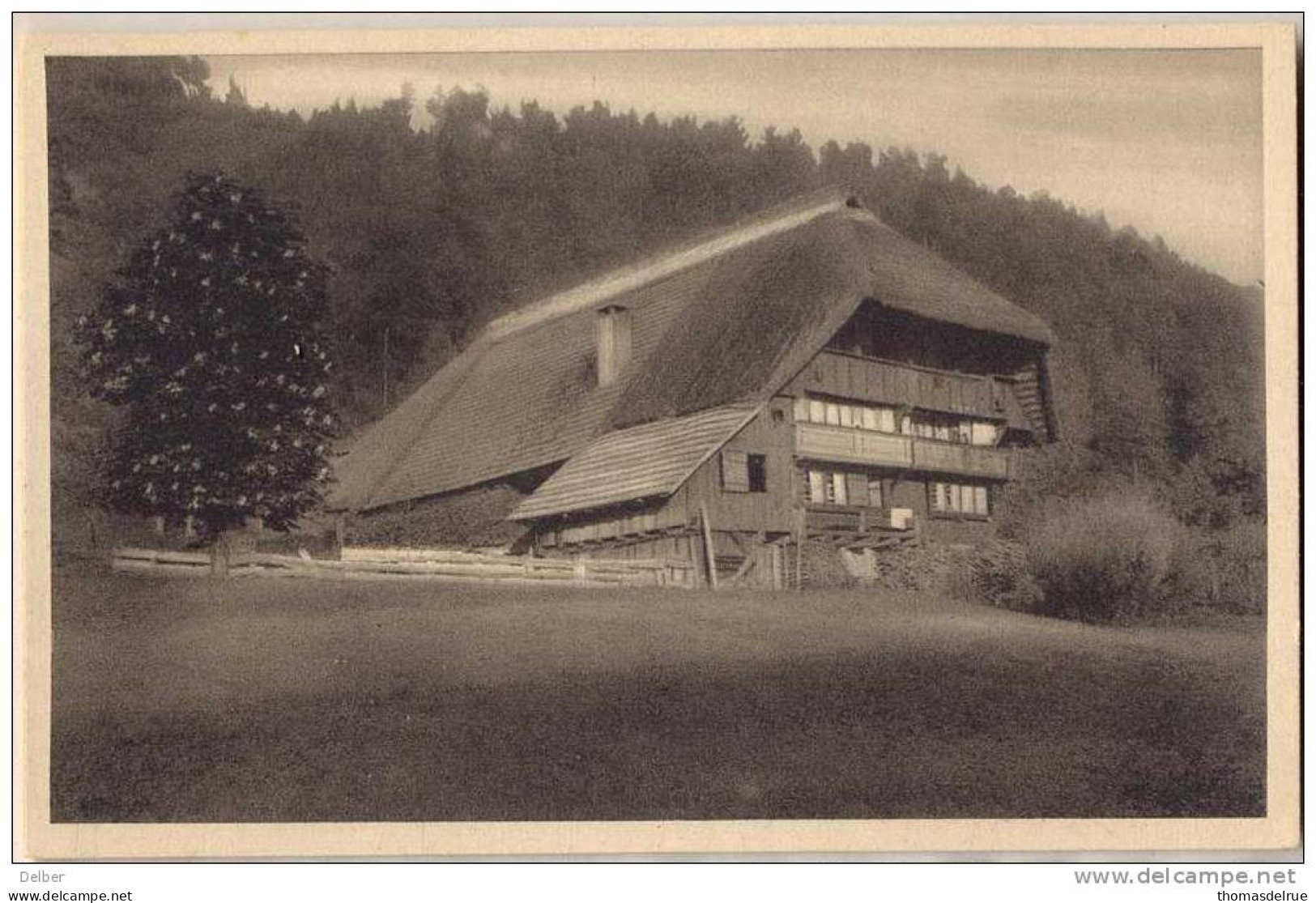 _F037: Bauernhaus I. Gutach ( Genant Martinsbauer) - Gutach (Schwarzwaldbahn)