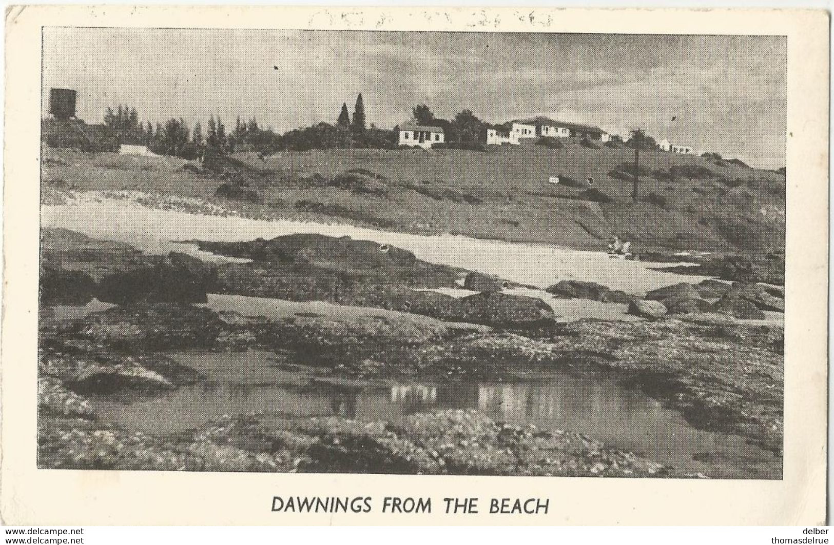 6Rm-656: 2d Postage Due /  Dawings From The Beach 1954 - Taxe