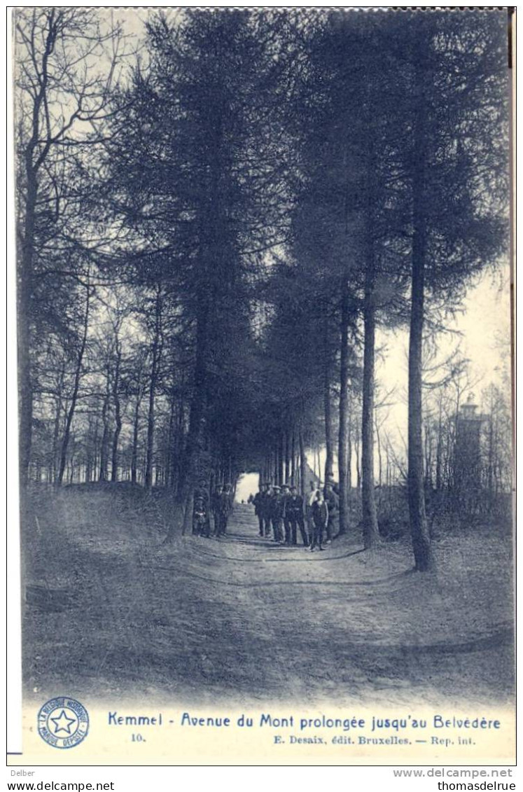 _ik540-9 :10 - KEMMEL - Avenue Du Mont Prolongée Jusqu'au Belvédère... - E.Desaix, Edit.Brux;.. - Heuvelland