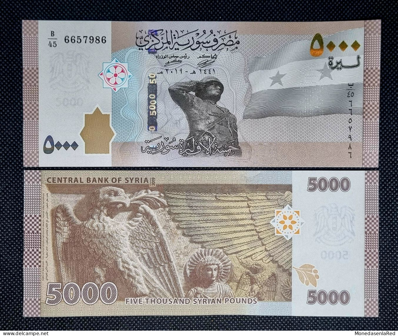 SIRIA / SYRIA 5000 LIBRAS - POUNDS AÑO 2019 - BILLETE DE MAYOR VALOR - SC / UNC. P-118a - Syrie