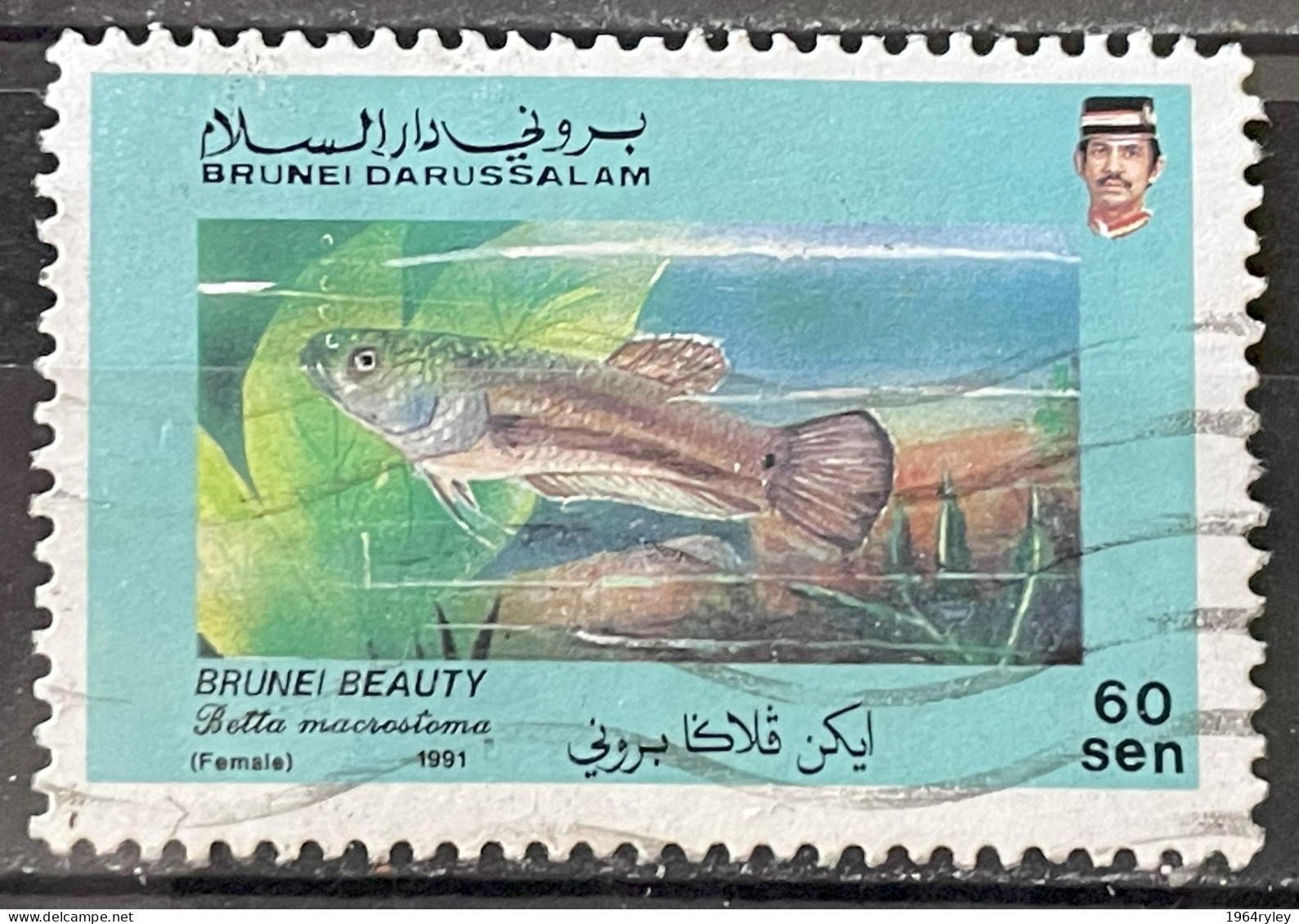 BRUNEI - (0) - 1991  # 431 - Brunei (1984-...)