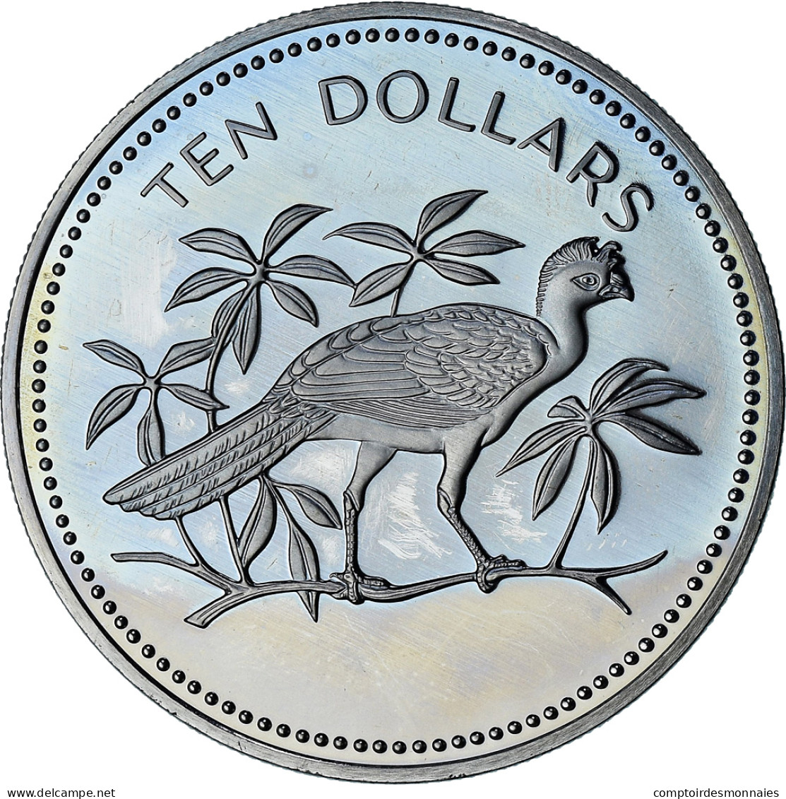 Belize, Elizabeth II, 10 Dollars, 1975, Proof, SPL+, Du Cupronickel, KM:45 - Belize