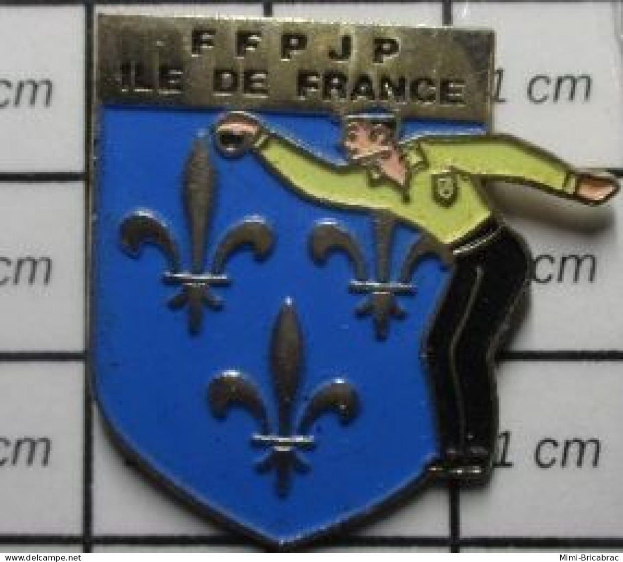 1118c Pin's Pins / Beau Et Rare / SPORTS / PETANQUE FFPJP ILE-DE-FRANC BLASON ARMOIRIES DAUPHIN - Pétanque