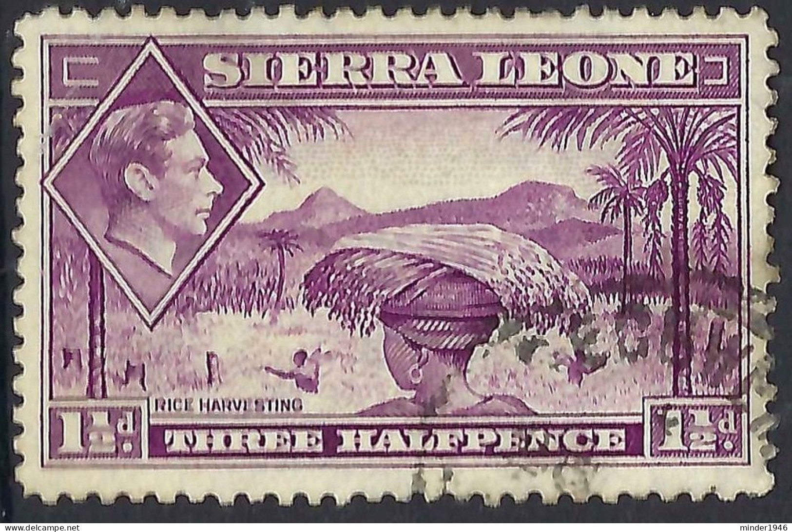 SIERRA LEONE 1941 KGVI 1½d Mauve SG190a Used - Sierra Leone (...-1960)