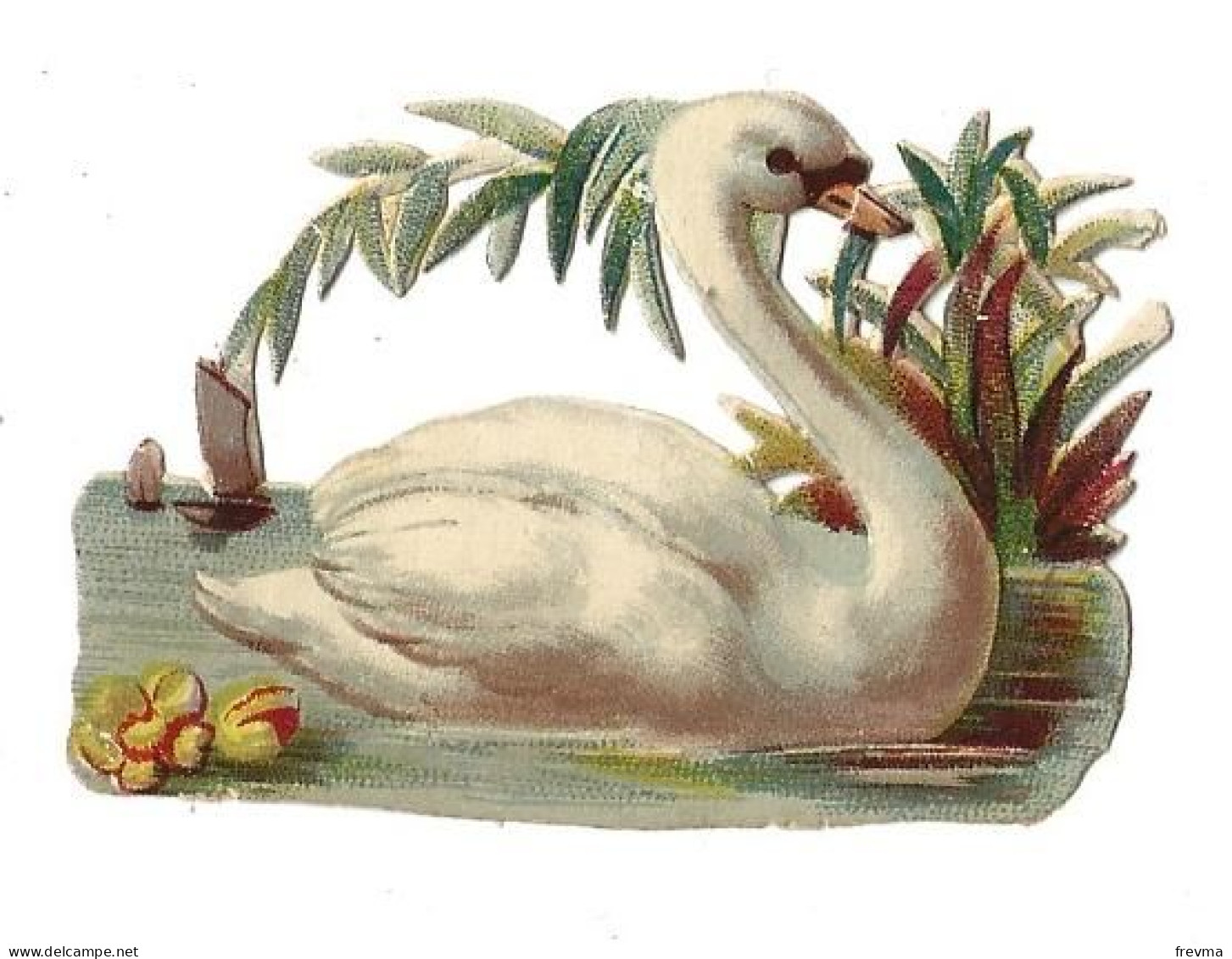 Decoupi Cygne - Animals