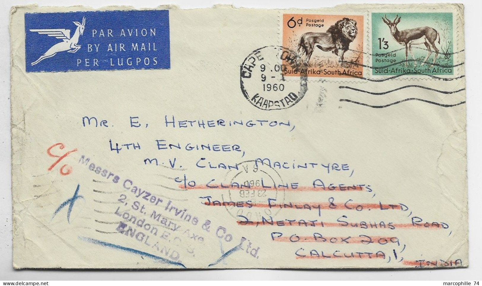 SUD AFRICA 6D LION +1/3 LETTRE COVER AVION CAPE TOWN 9.1.1960 TO CALCUTTA INDIA - Cartas & Documentos