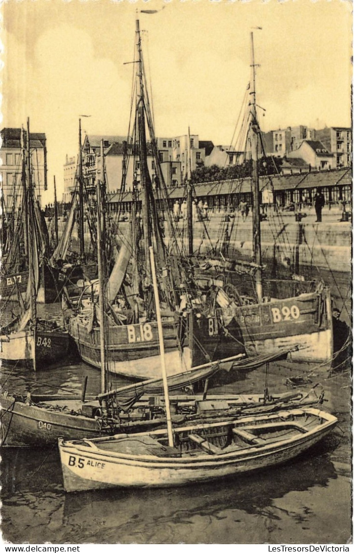 BELGIQUE - Blankenberghe - Barques De Pêche - Port - Carte Postale - Blankenberge