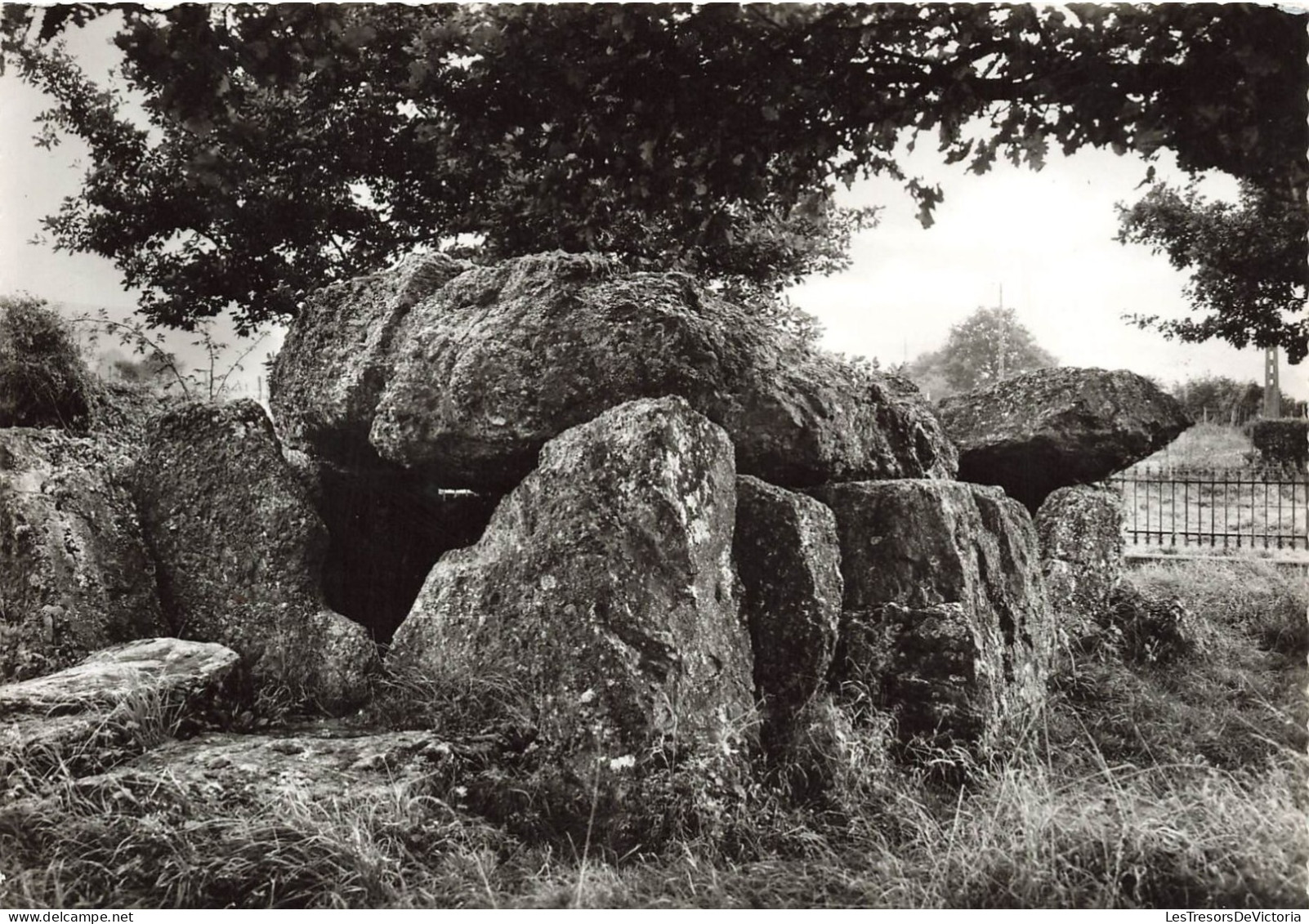 BELGIQUE - Durbuy - Barvaux - Les Environs - Le Dolmen De Wéris - Carte Postale - Durbuy