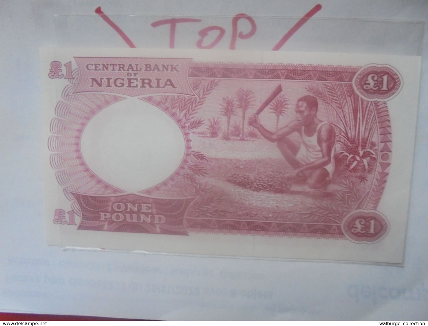 NIGERIA 1 POUND 1967 Neuf (B.31) - Nigeria