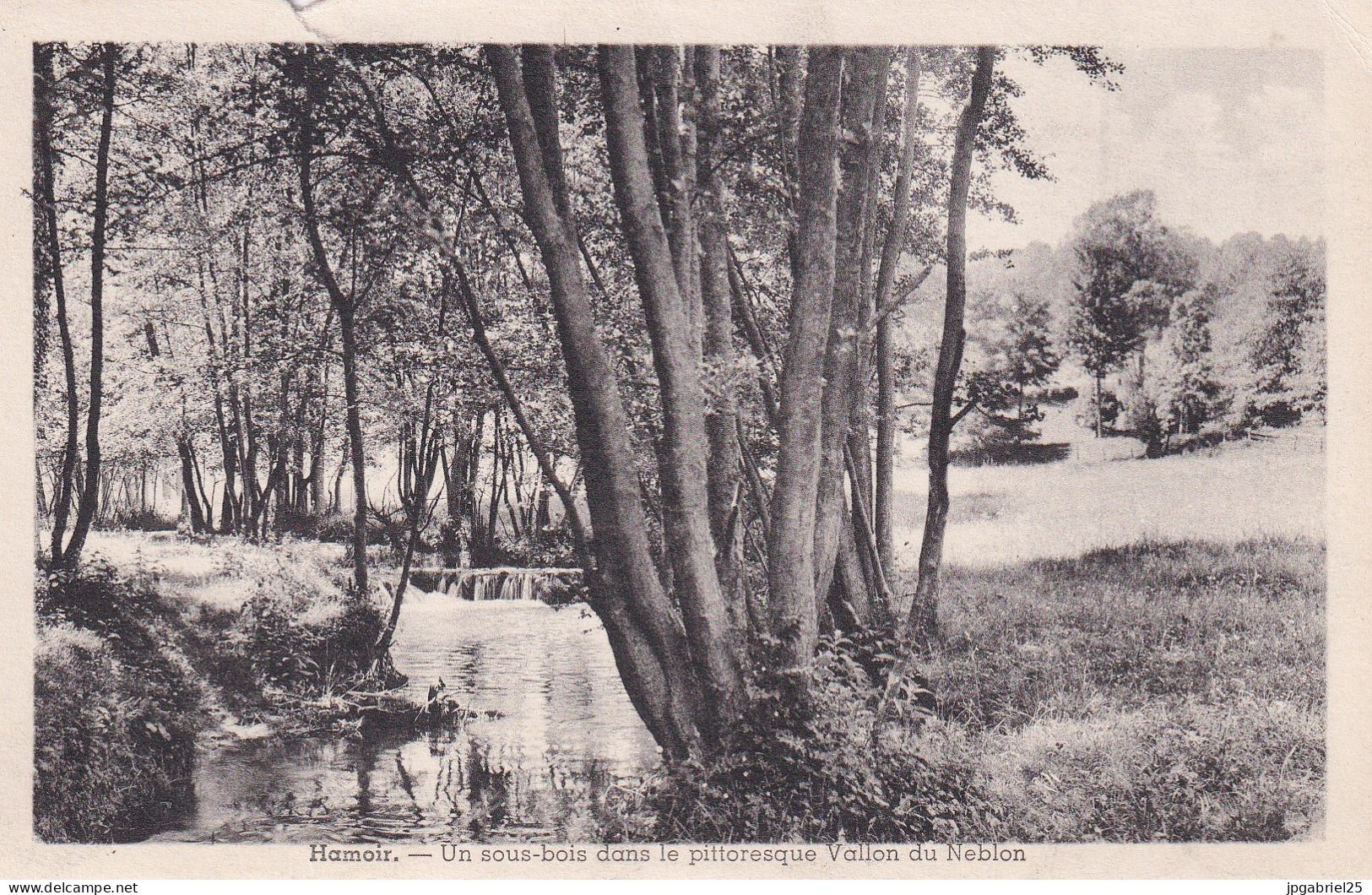 Hamoir Un Sous Bois Dans Le Pittoresque Vallon Du Neblon - Hamoir