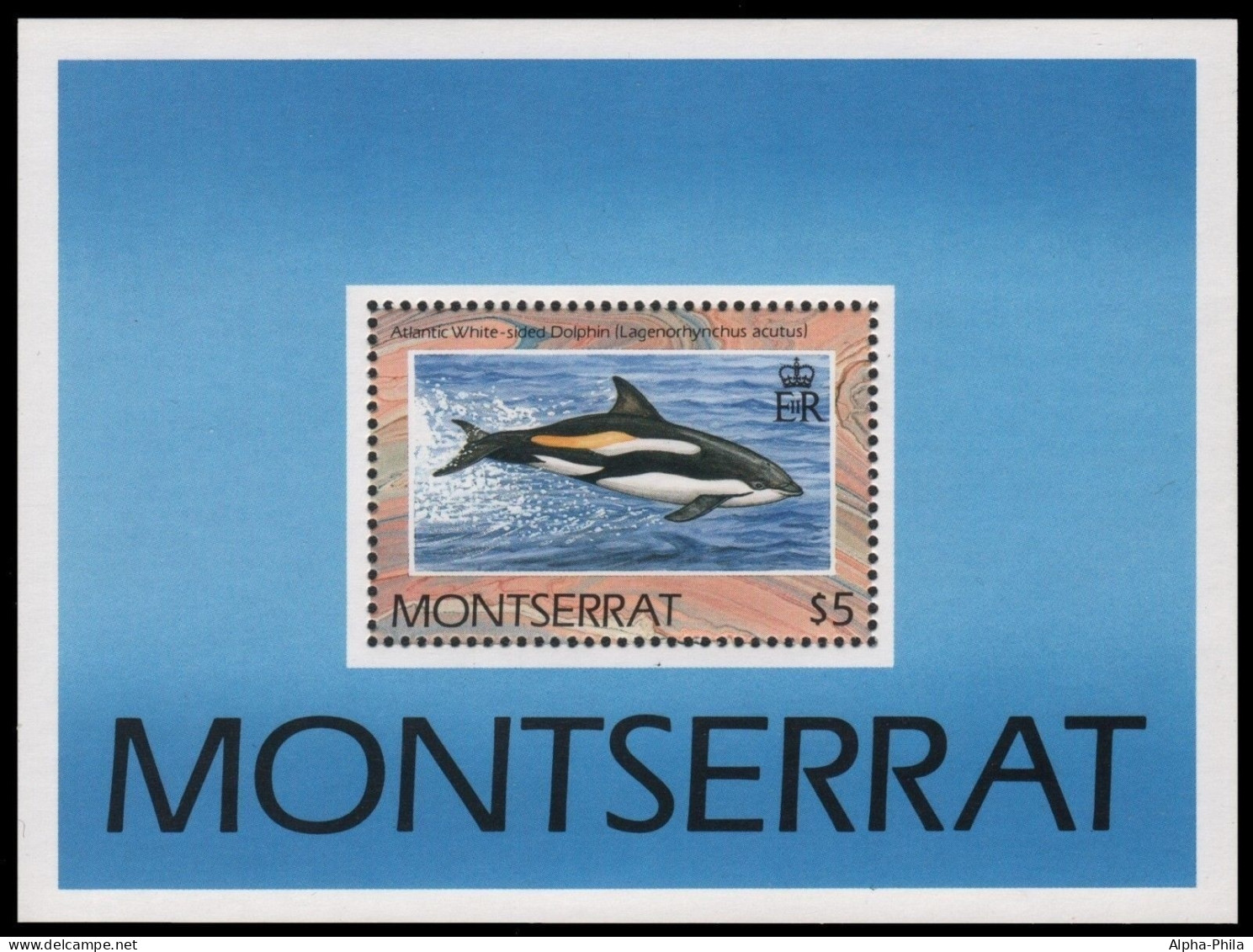 Montserrat 1990 - Mi-Nr. Block 59 ** - MNH - Delphine / Dolphins - Montserrat