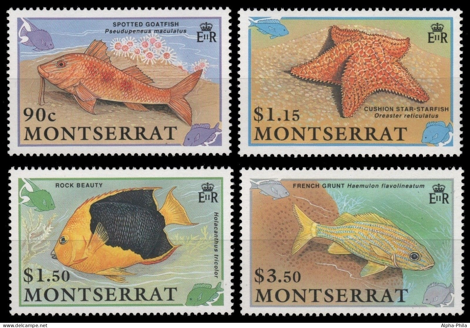 Montserrat 1991 - Mi-Nr. 795-798 ** - MNH - Fische / Fish - Montserrat