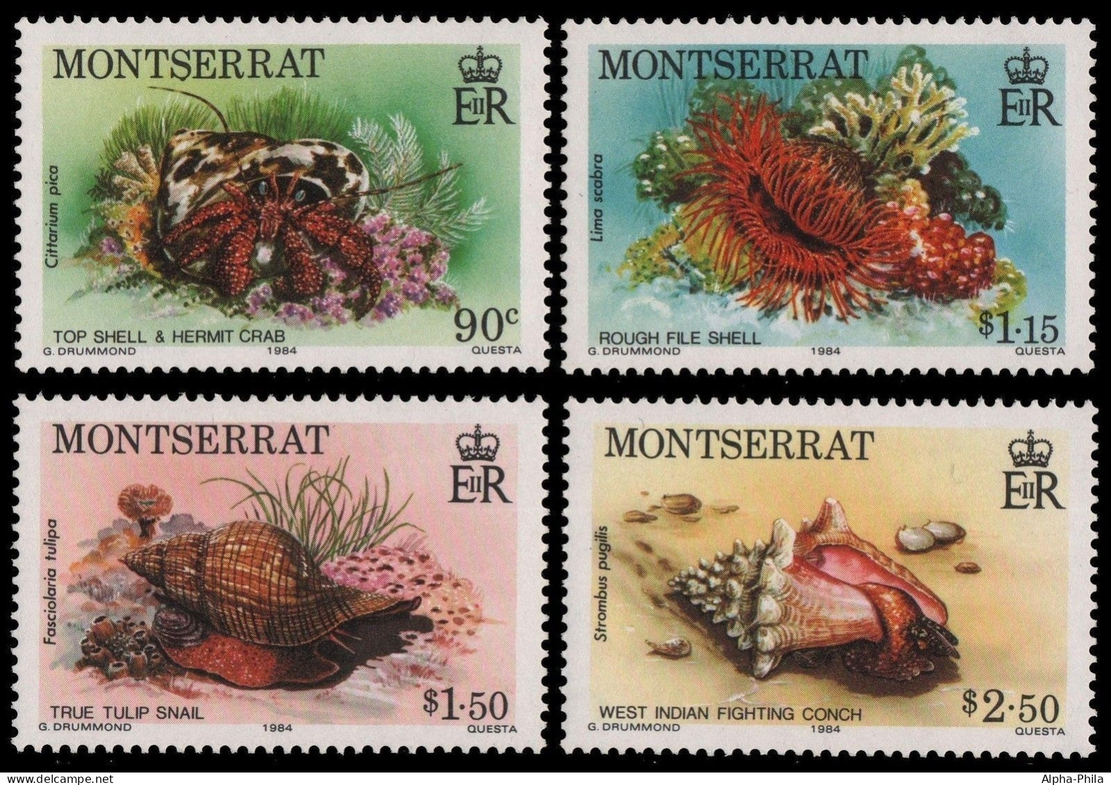 Montserrat 1984 - Mi-Nr. 557-560 ** - MNH - Meeresleben / Marine Life - Montserrat