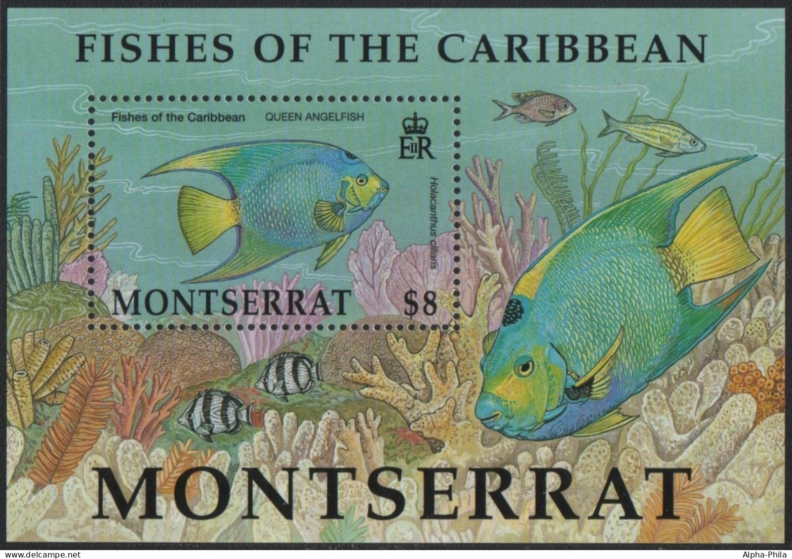 Montserrat 2002 - Mi-Nr. Block 92 ** - MNH - Fische / Fish - Montserrat