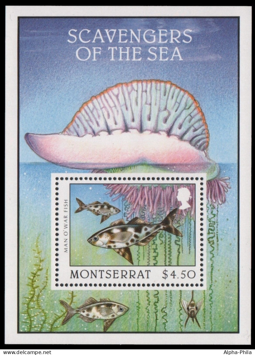 Montserrat 1996 - Mi-Nr. Block 72 ** - MNH - Fische / Fish - Montserrat